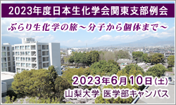 2023ǯٴ