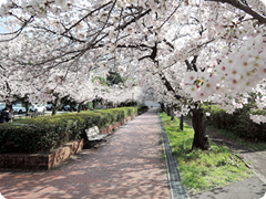 会場・宿泊案内