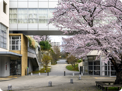 会場・宿泊案内