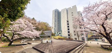 参加者へのご案内